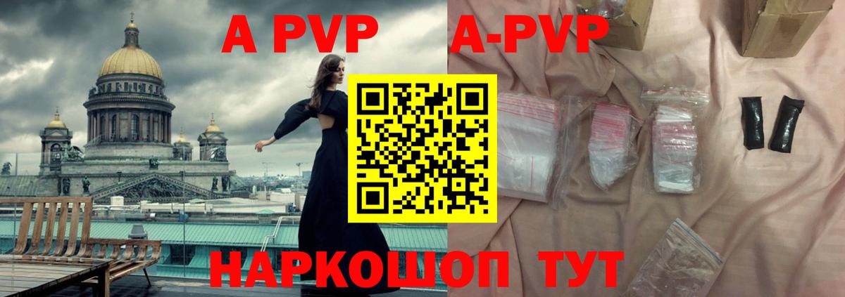 A-PVP СК Сальск