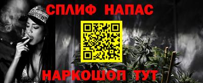 МДПВ Пенза