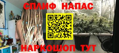 МДПВ Пенза