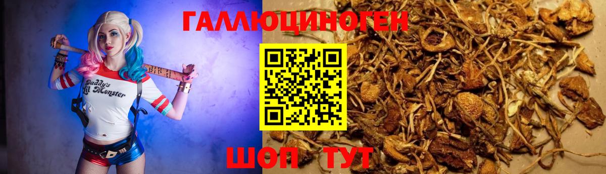 Псилоцибиновые грибы ЛСД  Галлюциногенные грибы мухоморы  Сальск  Вход с VPN 