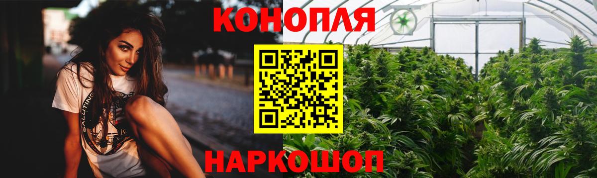Канабис гибрид Сальск